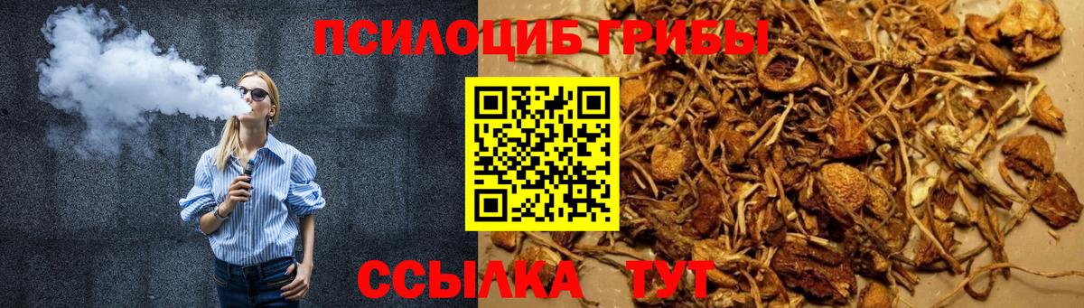 Самара  Псилоцибиновые грибы прущие грибы  Вход с VPN 